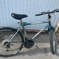 Mountain bike
