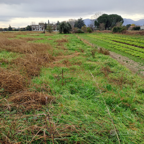 Terreno agricolo