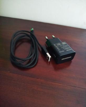 Caricabatterie originale Samsung con cavo USB