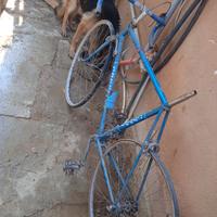 Bici da corsa