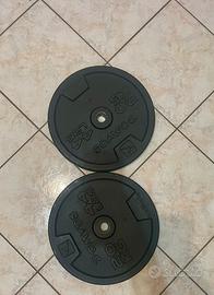 2 Dischi Pesi 20kg Decathlon – come nuovi!