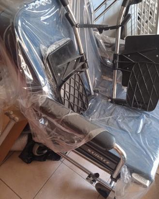 sedia a rotelle 