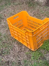 casse in plastica impilabili