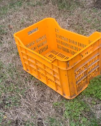 casse in plastica impilabili