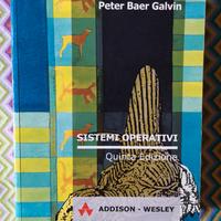 Sistemi operativi . Quarta Edizione