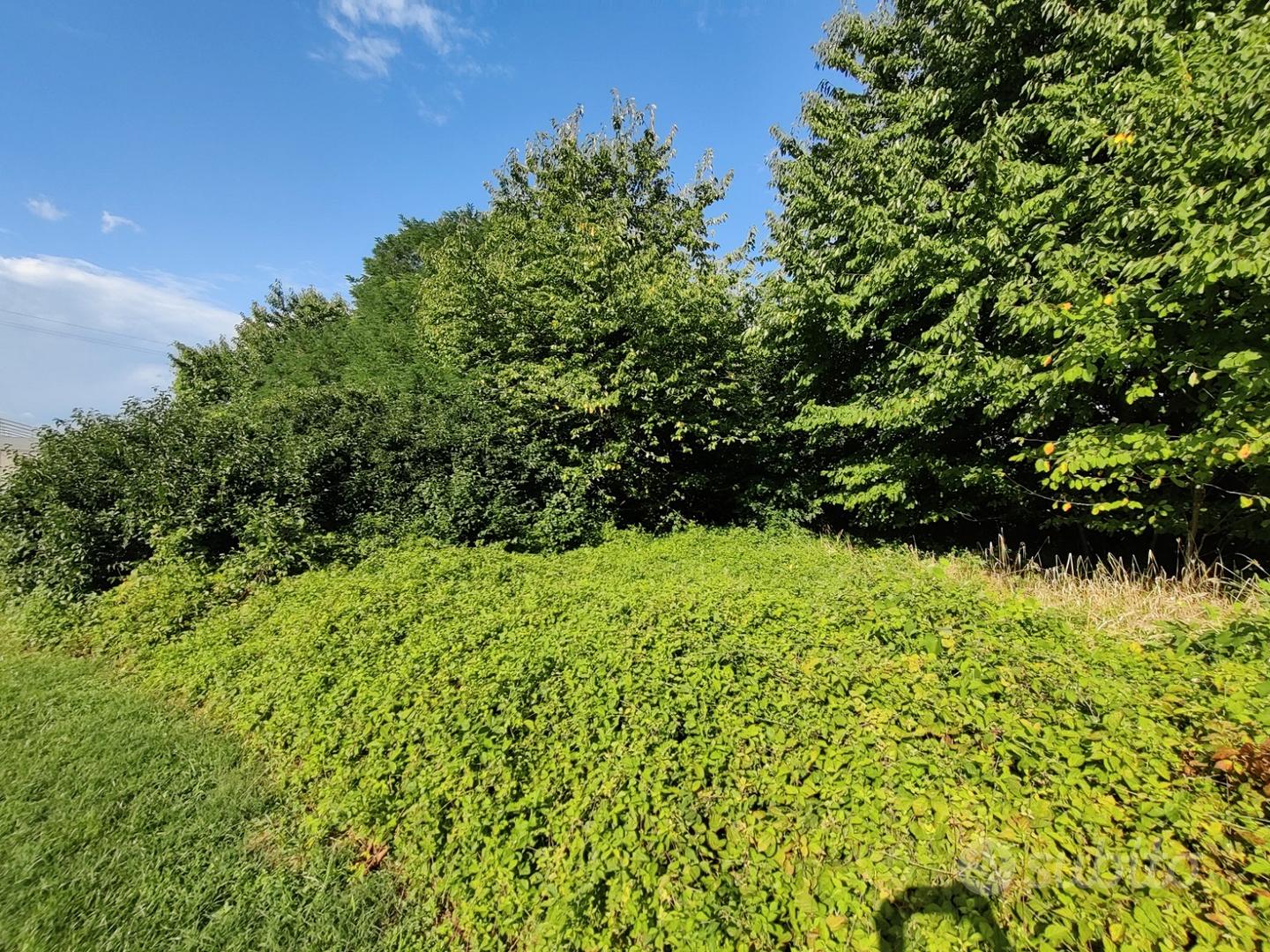 Terreno Agricolo/Residenziale - Vista 4