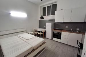 Splendido Monolocale completamente ristrutturato