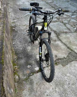 Bici elettrica