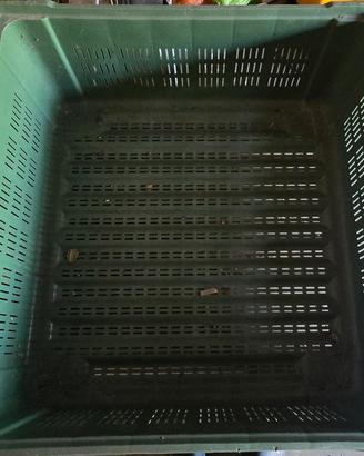 Cassoncino in plastica rigida verde (Bins)