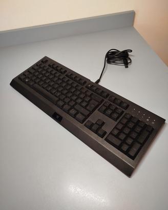Razer cynosa lite gaming keyboard