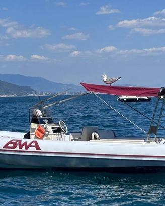 BWA Seven Fifty 7,5 metri