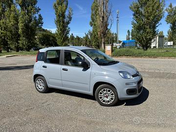 Fiat Panda 1200 easy