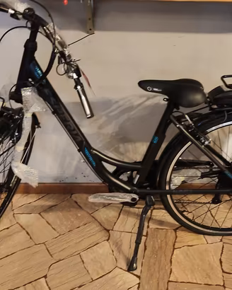 Bici elettrica Esperia