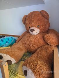 orso peluche gigante