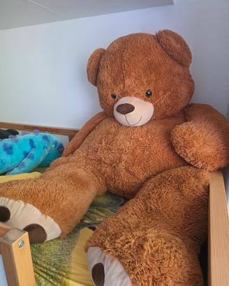 orso peluche gigante