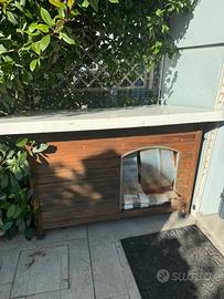 Cuccia cane