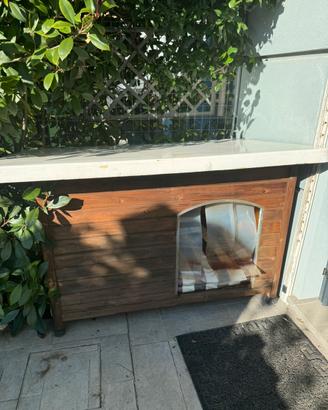 Cuccia cane