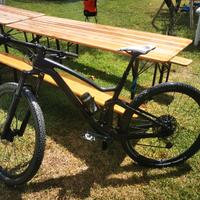 mtb 29 full carbonio