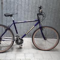 MTB RagazzO ruote 26 pollici