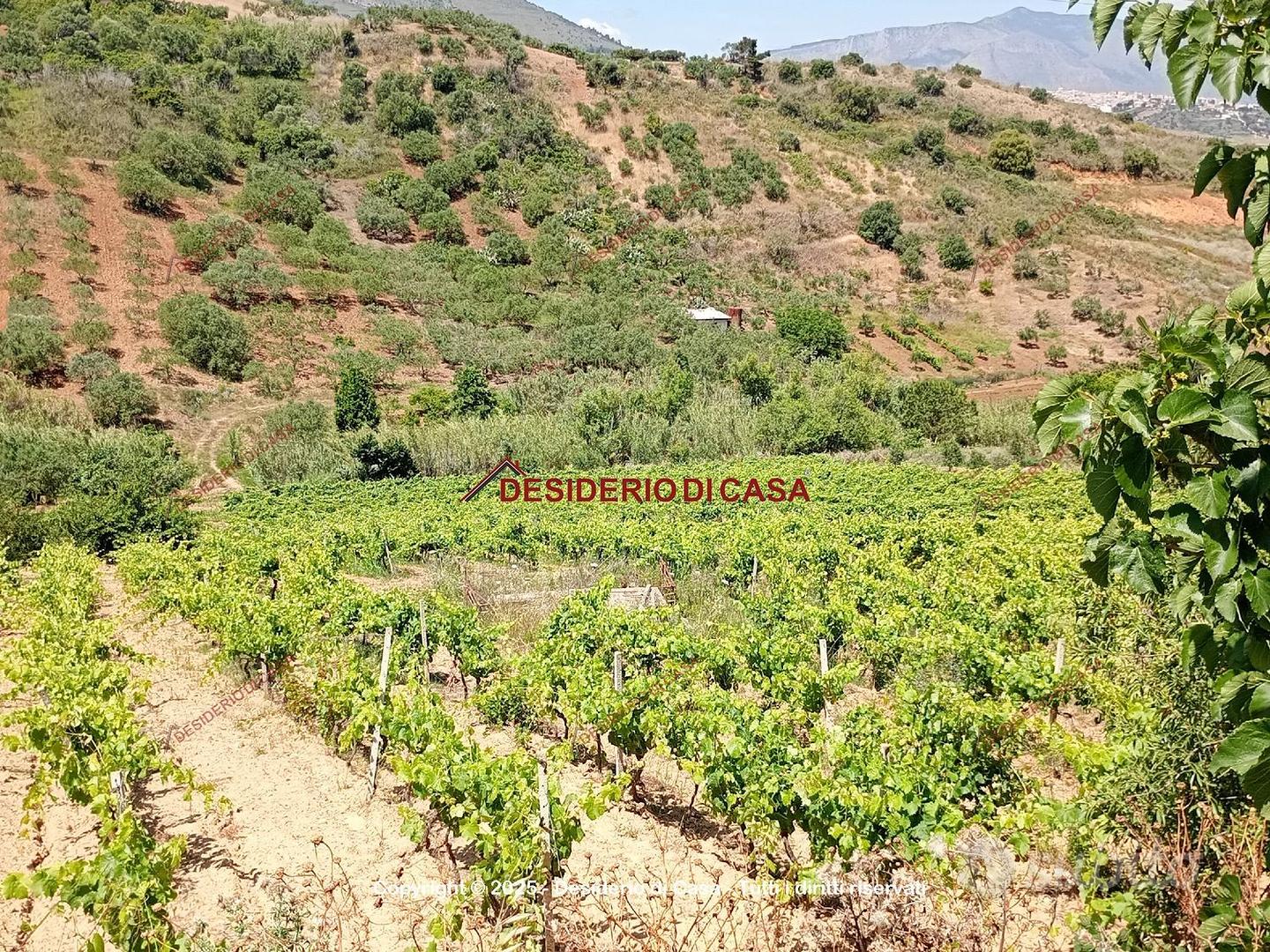 Terreno, Alcamo. - Vista 5