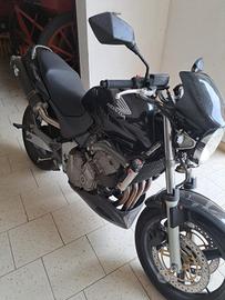 honda hornet 