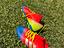 Immagine 2