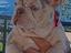 Immagine 6