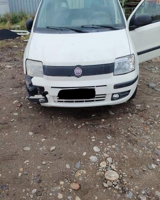 FIAT PANDA (0X) (02/11>12/13< ) 1.2 Ber 5p/b/1242c