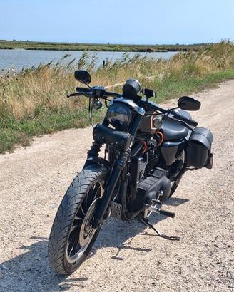 Harley Davidson XLR 883 sposter