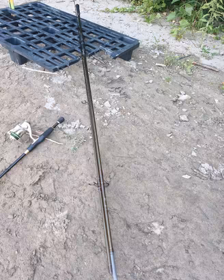 canna da pesca carpfishing