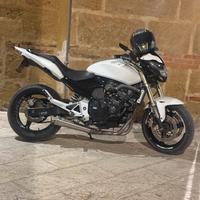 Honda hornet 600