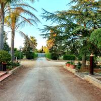 Casa immersa nel verde