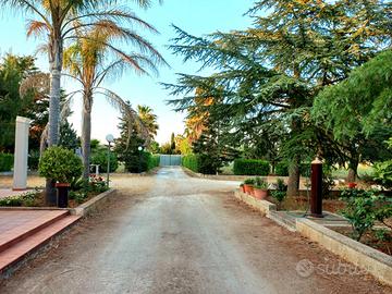 Casa immersa nel verde