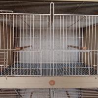 Gabbie d allevamento