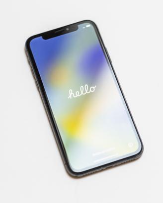 Iphone X 256 Gb