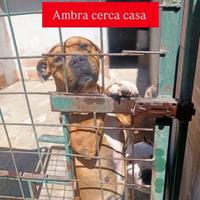 Quante volte lei ci spera, ma nessuno s'innamora