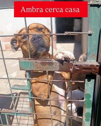 Quante volte lei ci spera, ma nessuno s'innamora