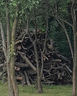 legna mista a stanga 