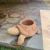 Vaso tartaruga