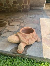 Vaso tartaruga