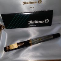 penna stilografica pelikan