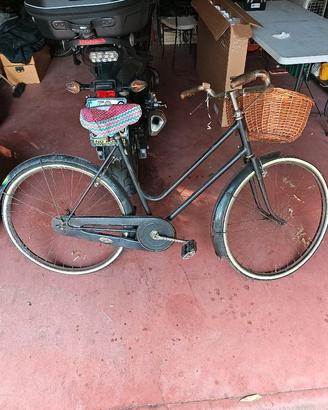 Bici Lygie