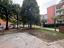 Immagine 11