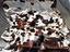 Immagine 1