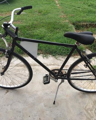 Bici mod monocorona 