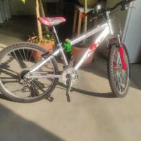 Bicicletta Aurora per ragazzi 