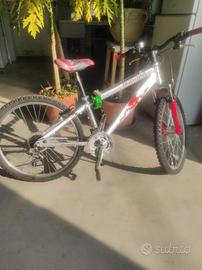 Bicicletta Aurora per ragazzi 