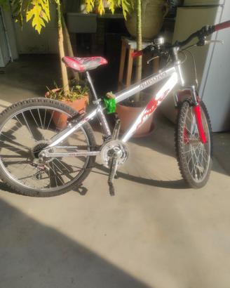 Bicicletta Aurora per ragazzi 