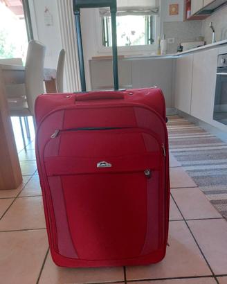 Trolley/valigia