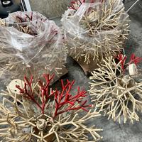 4 Lampadari sospensione Pallucco Coral